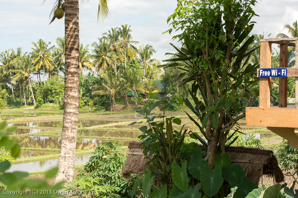 Bali Ubud Rice Fields-7