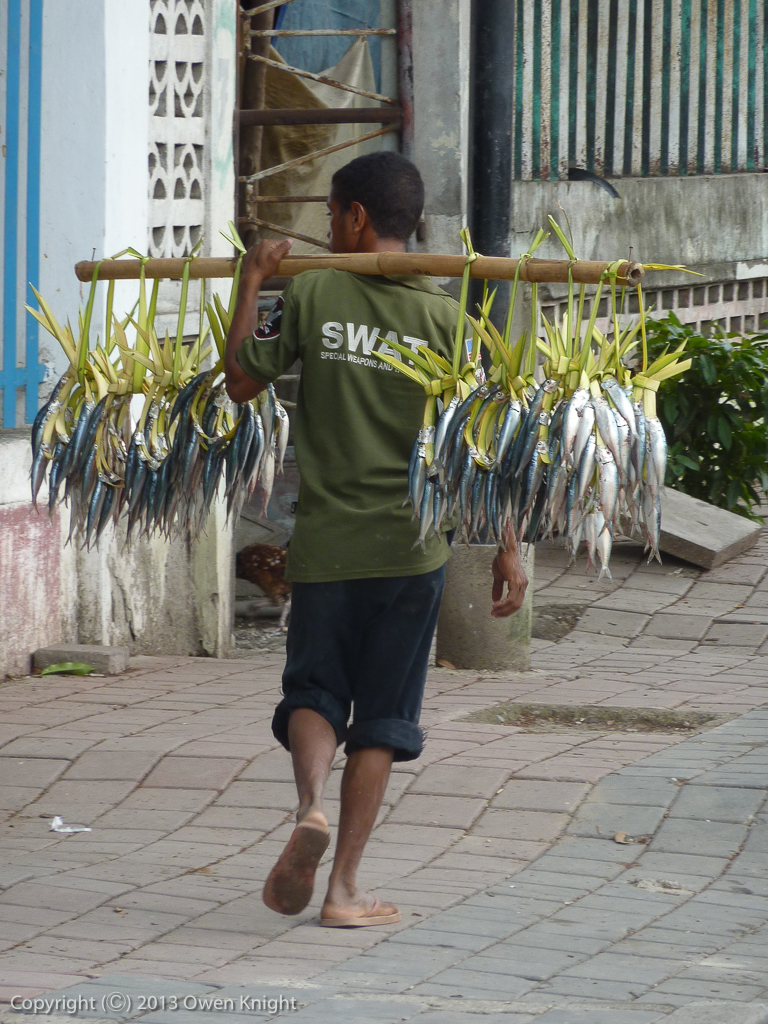 Timor Leste- Daily Life and Commerce-10