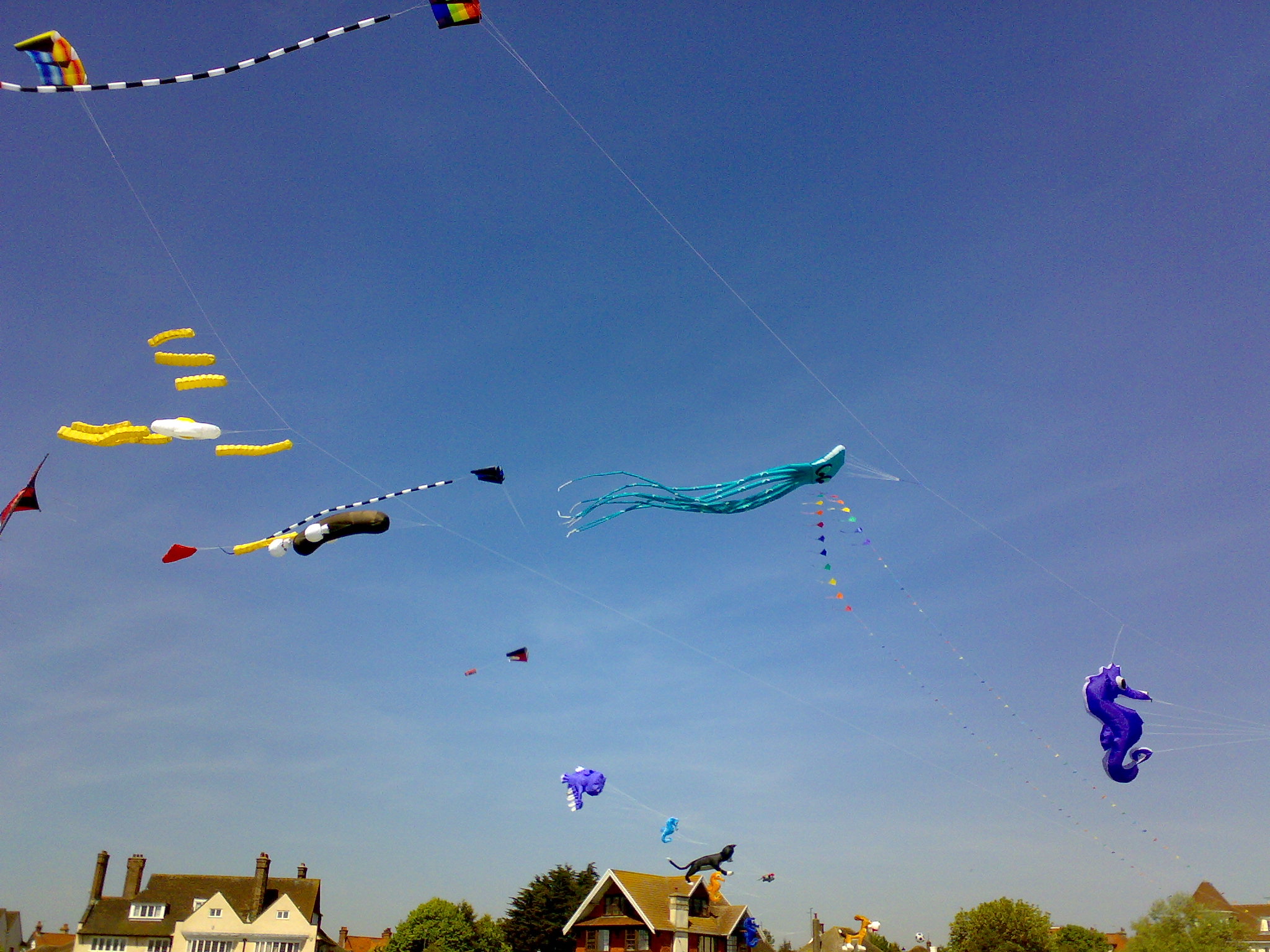 KiteFest