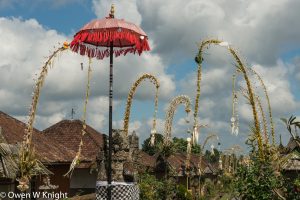 Galungan and Kuningan Celebrations, Bali 2018